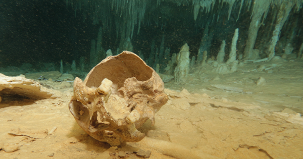 Skeleton Underwater