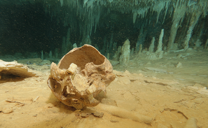 Skeleton Underwater