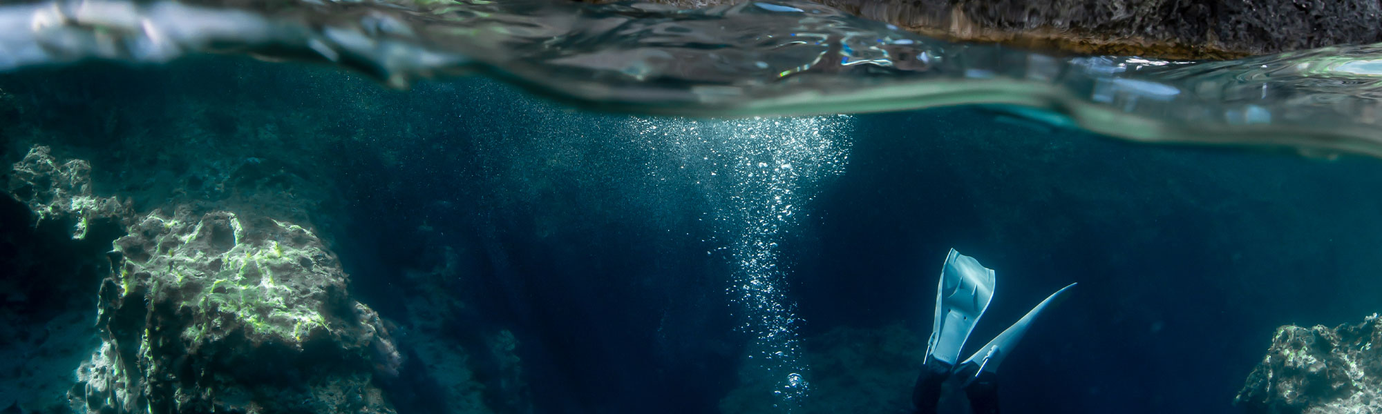 Hollis Fins Header Image