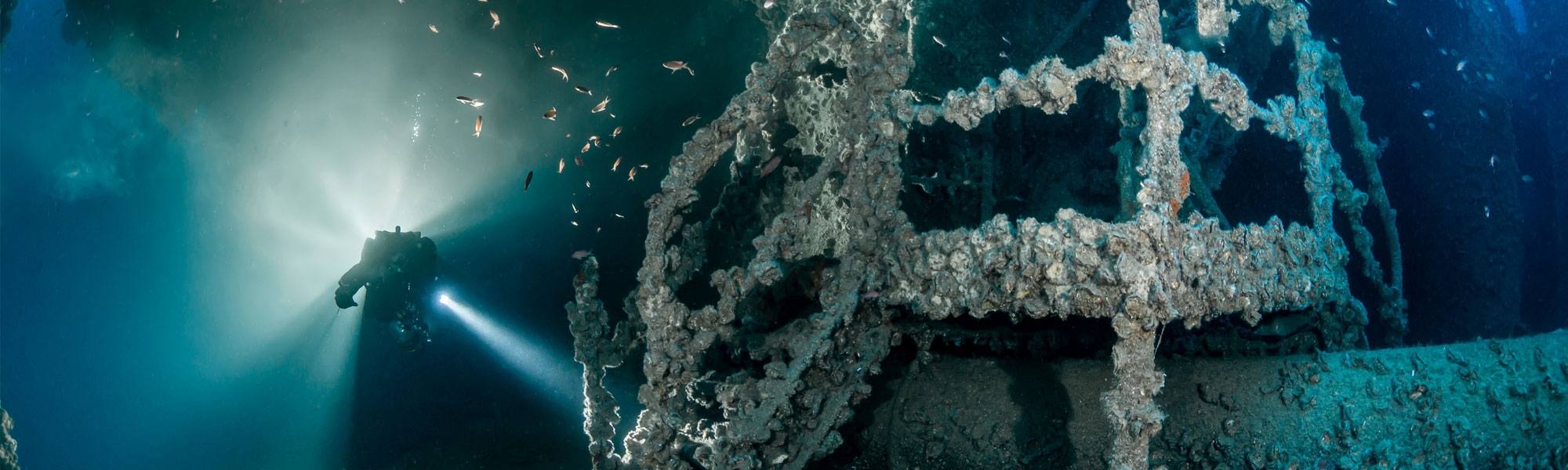 Hollis About Header Image