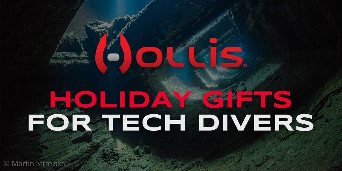 Holiday Gift Guide Blog Post